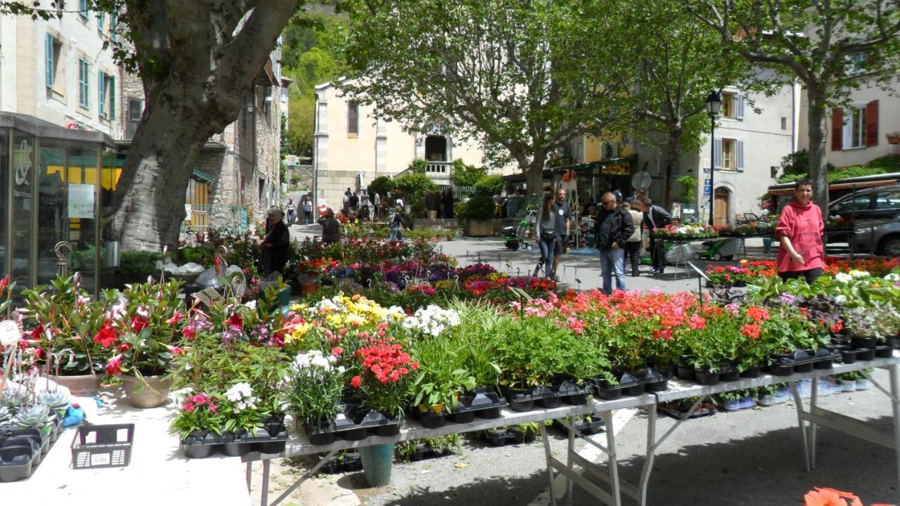 Camping Panoramique Du Verdon Castellane Bagian luar foto